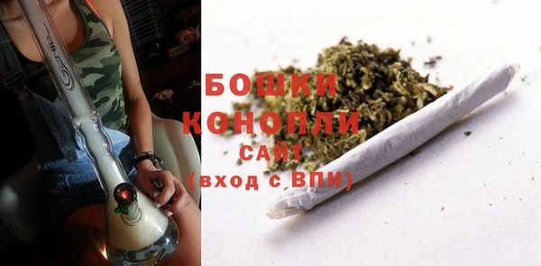 амф Белоозёрский