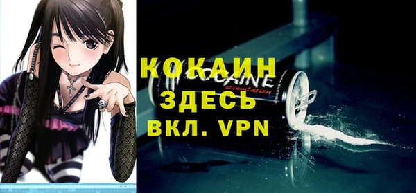 прущие грибы Балахна