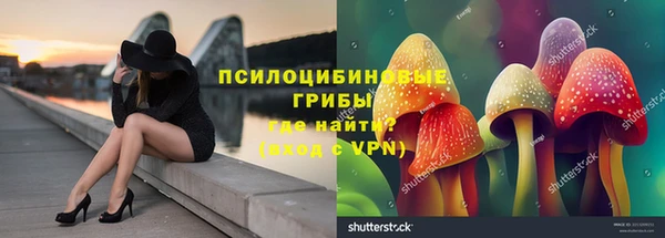 амф Белоозёрский