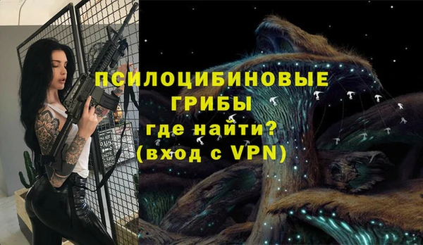 прущие грибы Балахна