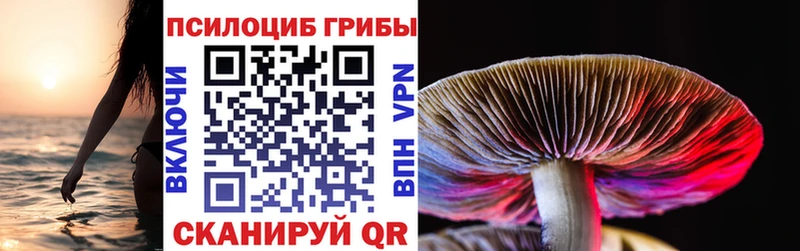 площадка официальный сайт  Гремячинск  Галлюциногенные грибы мухоморы 